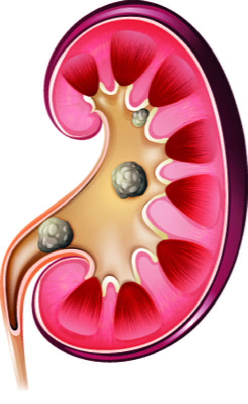 CiplaMedLogo